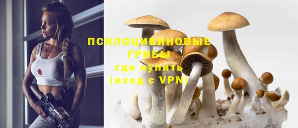 героин Алзамай