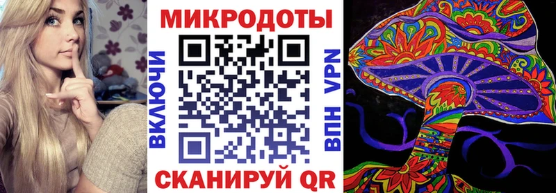 Купить где  Советск  Галлюциногенные грибы GOLDEN TEACHER 